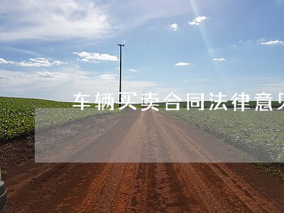 车辆买卖合同法律意见书