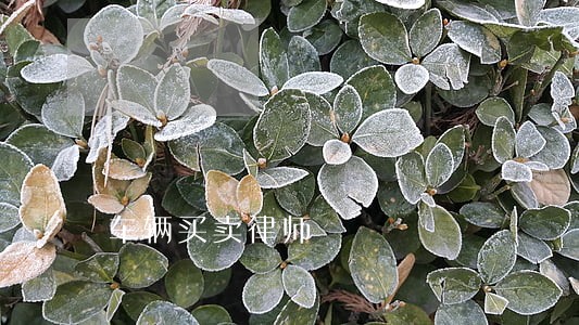 车辆买卖律师 车辆买卖律师