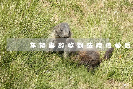 车辆事故收到法院传单后 车辆事故收到法院传单后