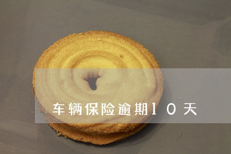 车辆保险逾期10天