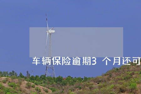 车辆保险逾期3个月还可以交吗 车辆保险逾期3个月还可以交吗