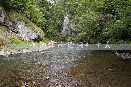 车辆保险逾期4个月 车辆保险逾期4个月