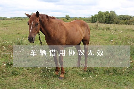 车辆借用协议无效