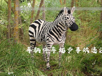 车辆停车起步事故违法条款 车辆停车起步事故违法条款