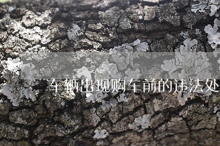 车辆出现购车前的违法处理记录 车辆出现购车前的违法处理记录