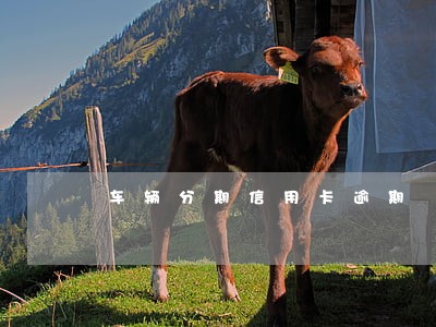 车辆分期信用卡逾期 车辆分期信用卡逾期