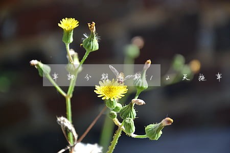 车辆分期逾期12天拖车正规吗 车辆分期逾期12天拖车正规吗
