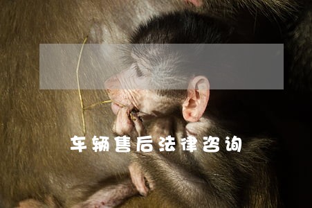 车辆售后法律咨询 车辆售后法律咨询