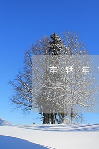 车辆年审逾期10天也罚款 车辆年审逾期10天也罚款