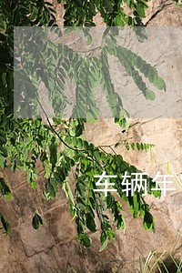 车辆年审逾期25天要交罚款吗 车辆年审逾期25天要交罚款吗