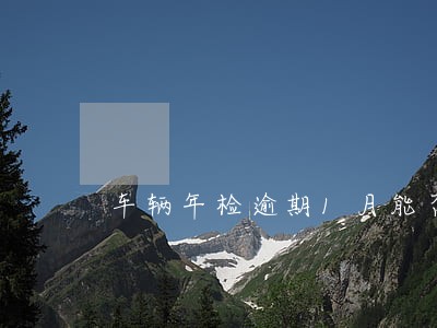 车辆年检逾期1月能否网上申请 车辆年检逾期1月能否网上申请