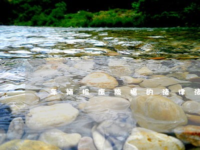 车辆报废依据的法律法规 车辆报废依据的法律法规