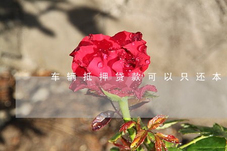 车辆抵押贷款可以只还本金吗 车辆抵押贷款可以只还本金吗
