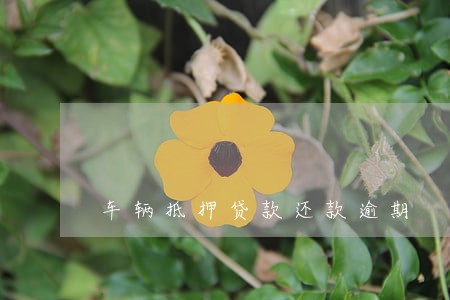 车辆抵押贷款还款逾期 车辆抵押贷款还款逾期