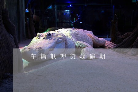 车辆抵押贷款逾期 车辆抵押贷款逾期