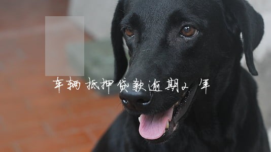 车辆抵押贷款逾期2年