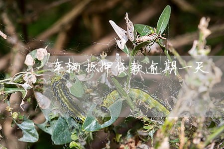 车辆抵押贷款逾期一天