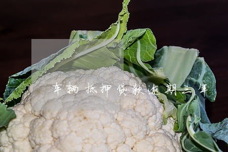 车辆抵押贷款逾期三年 车辆抵押贷款逾期三年