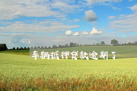 车辆抵押贷款逾期了 车辆抵押贷款逾期了