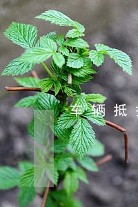 车辆抵押贷款逾期别被拖走 车辆抵押贷款逾期别被拖走