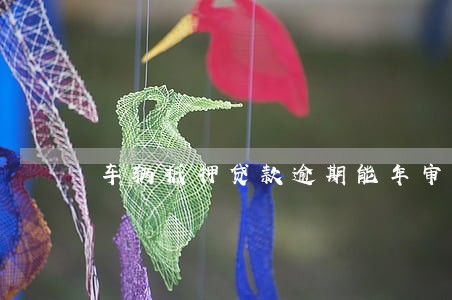 车辆抵押贷款逾期能年审吗 车辆抵押贷款逾期能年审吗
