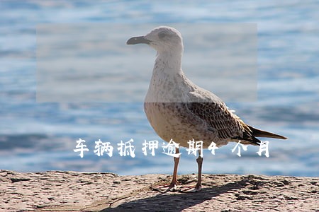 车辆抵押逾期4个月