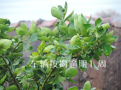 车辆按揭逾期1周 车辆按揭逾期1周
