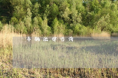 车辆法律咨询 车辆法律咨询