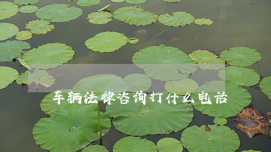 车辆法律咨询打什么电话 车辆法律咨询打什么电话