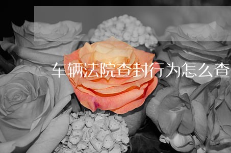 车辆法院查封行为怎么查询 车辆法院查封行为怎么查询