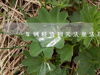 车辆租赁相关法条法规