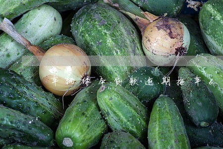 车辆绿本贷款逾期拖车6 车辆绿本贷款逾期拖车6