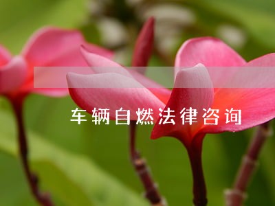 车辆自燃法律咨询