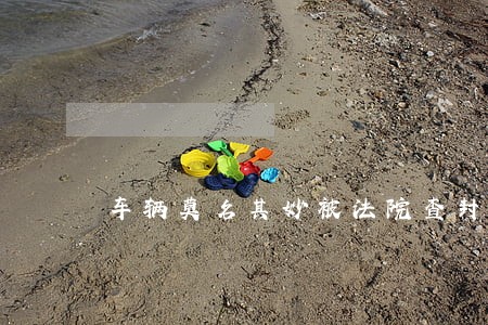 车辆莫名其妙被法院查封 车辆莫名其妙被法院查封