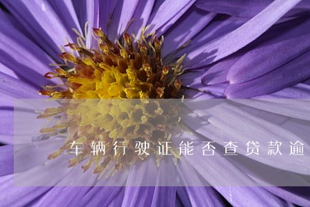 车辆行驶证能否查贷款逾期 车辆行驶证能否查贷款逾期