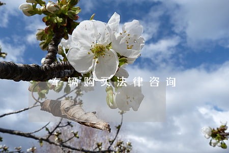车辆购买法律咨询 车辆购买法律咨询