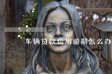 车辆贷款信用逾期怎么办 车辆贷款信用逾期怎么办
