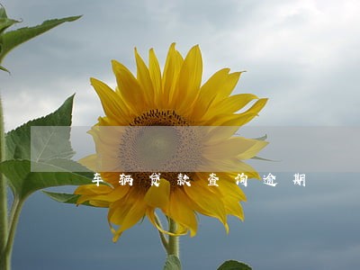 车辆贷款查询逾期 车辆贷款查询逾期