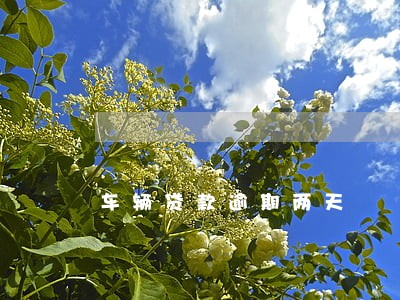 车辆贷款逾期两天 车辆贷款逾期两天