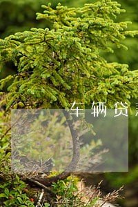 车辆贷款逾期保险理赔会被扣 车辆贷款逾期保险理赔会被扣