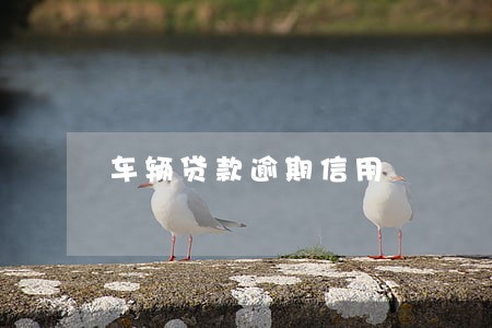 车辆贷款逾期信用 车辆贷款逾期信用