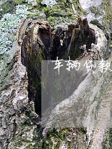 车辆贷款逾期几次银行贷款 车辆贷款逾期几次银行贷款