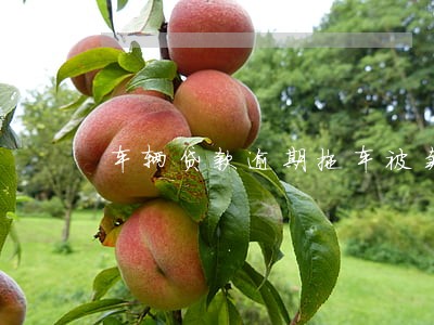 车辆贷款逾期拖车被卖了 车辆贷款逾期拖车被卖了