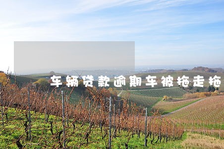 车辆贷款逾期车被拖走拖车费 车辆贷款逾期车被拖走拖车费