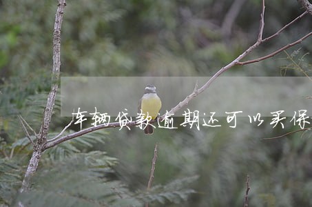车辆贷款逾期还可以买保险吗 车辆贷款逾期还可以买保险吗