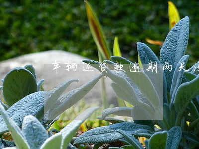 车辆还贷款逾期两天没事吧 车辆还贷款逾期两天没事吧