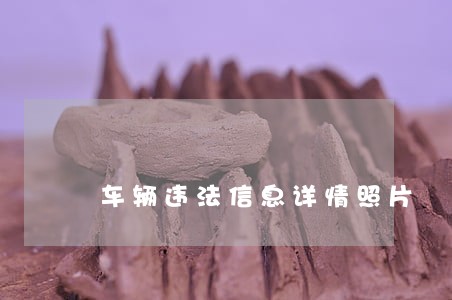 车辆违法信息详情照片 车辆违法信息详情照片