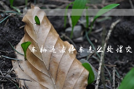 车辆违法停车怎么处理交多少钱