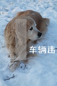 车辆违法停车查询电话 车辆违法停车查询电话