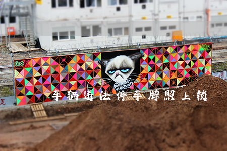 车辆违法停车牌照上锁 车辆违法停车牌照上锁